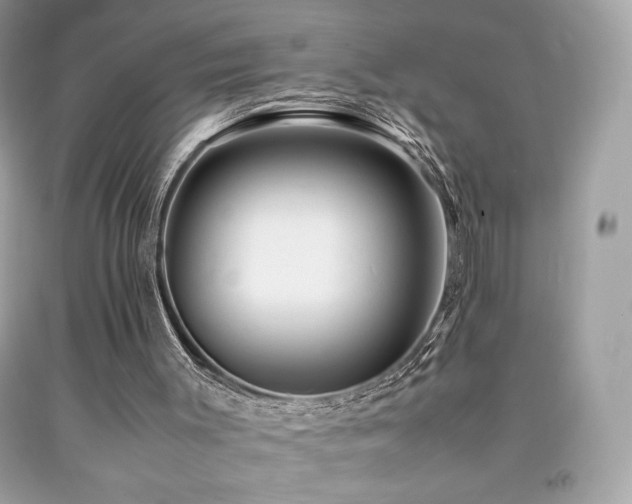 X0000092090003200709121522