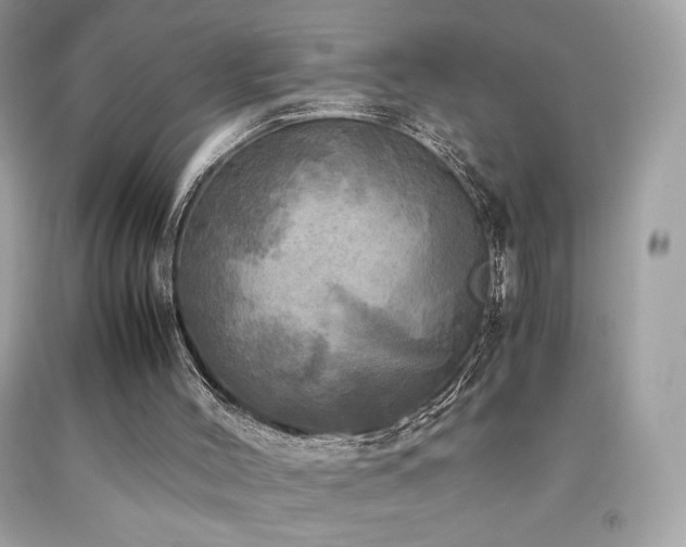 X0000092090004200709121522