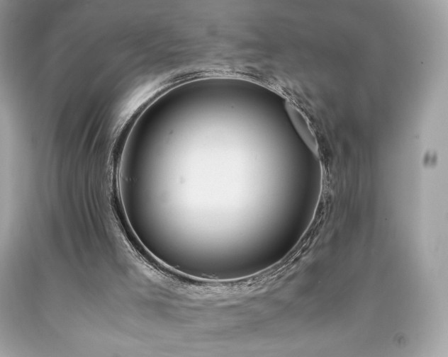 X0000092090005200709121522