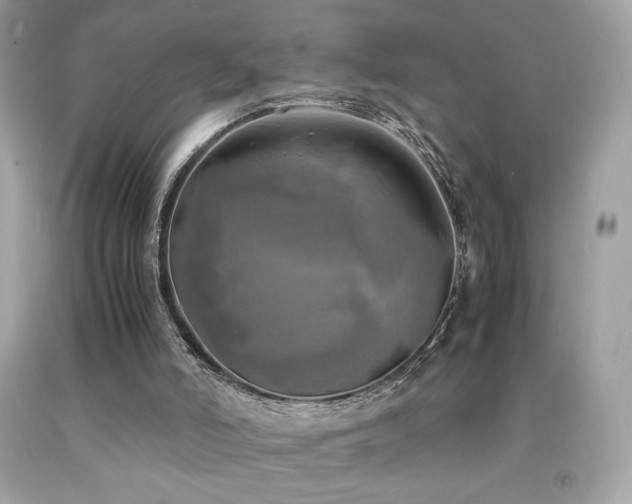 X0000092090006200709121522