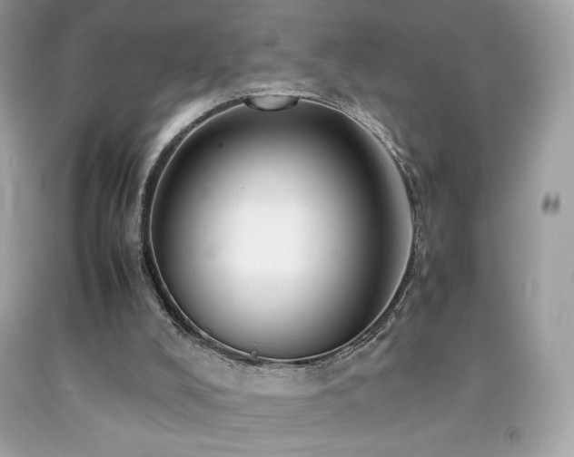 X0000092090008200709121522