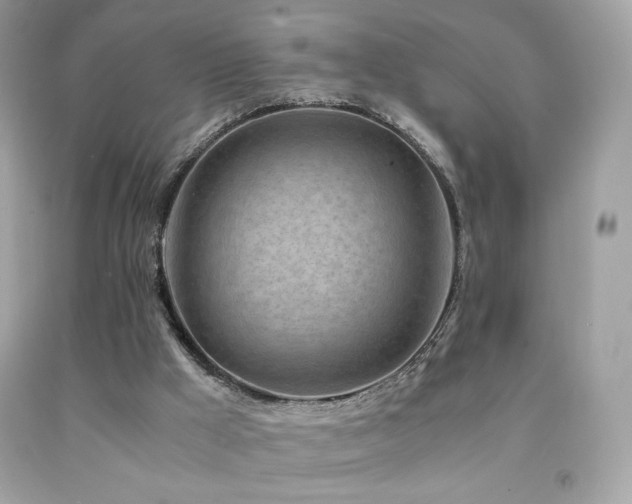X0000092090009200709121522