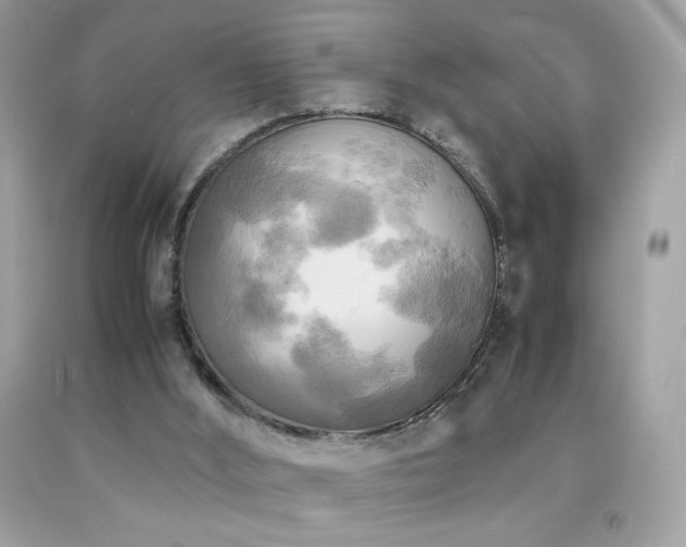 X0000092090012200709121521
