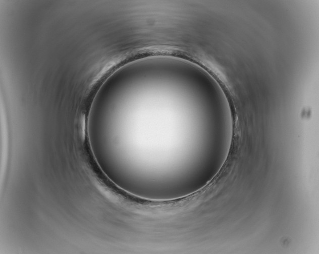 X0000092090013200709121521