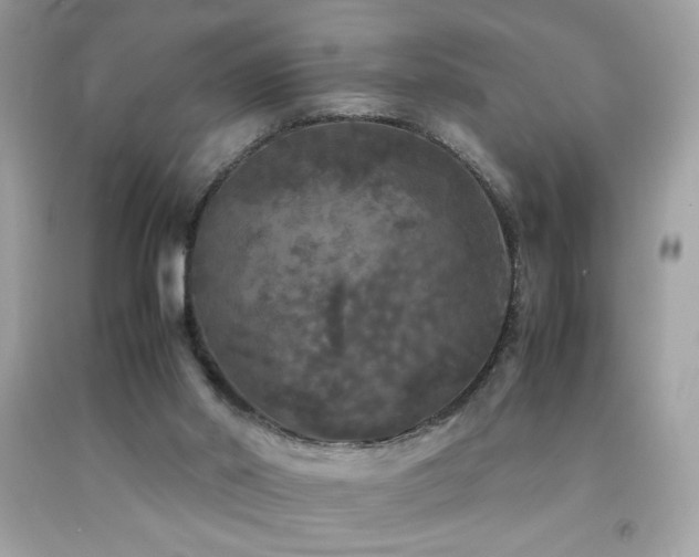 X0000092090014200709121521