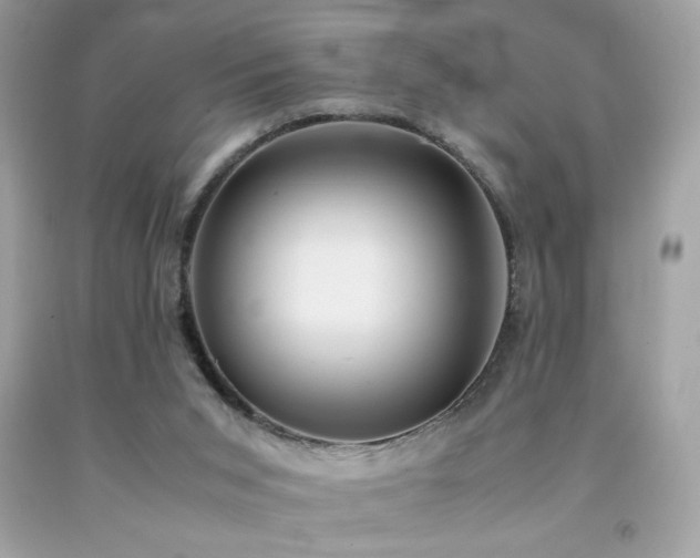 X0000092090015200709121521