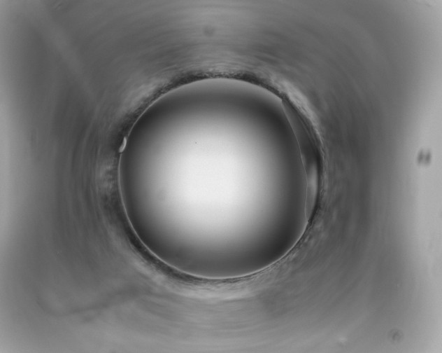 X0000092090017200709121521