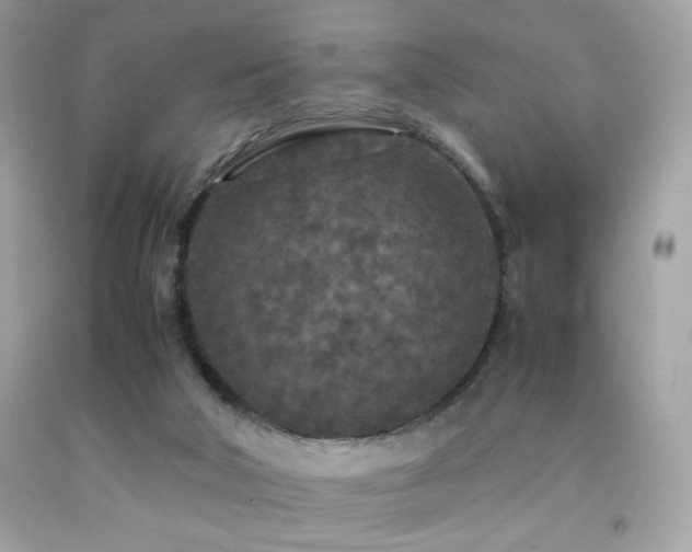X0000092090018200709121521