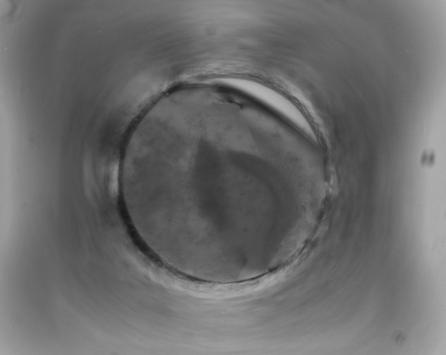 X0000092090019200709121521