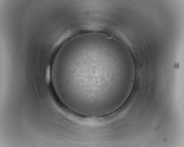 X0000092090020200709121521