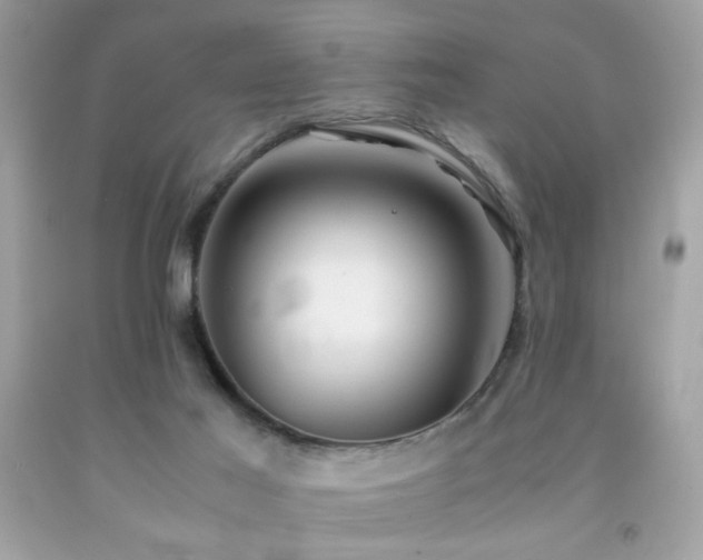 X0000092090021200709121521