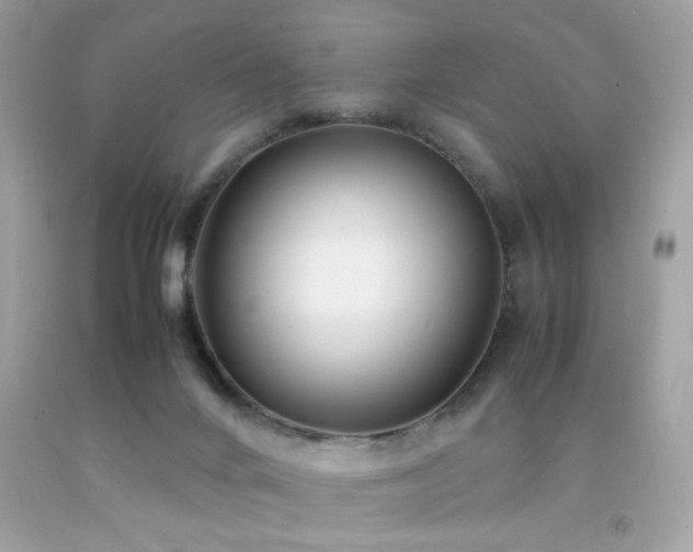 X0000092090024200709121521