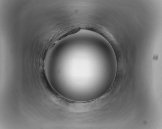 X0000092090025200709121521