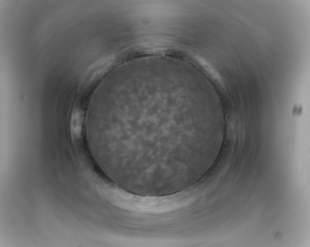X0000092090026200709121521