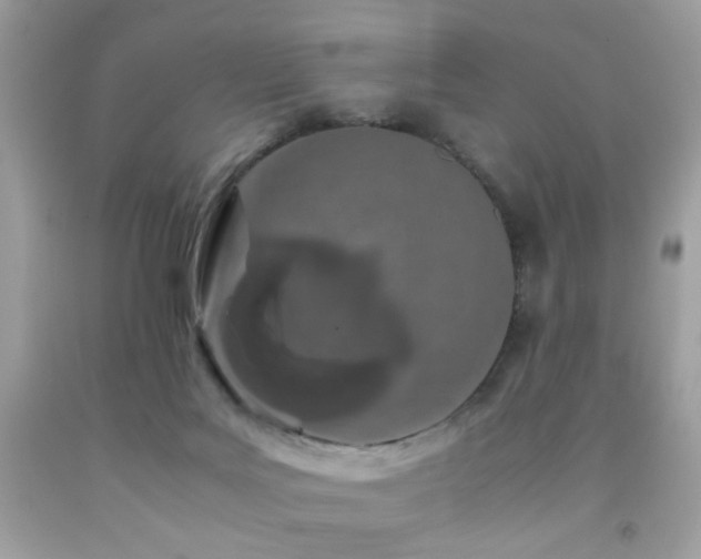 X0000092090027200709121521