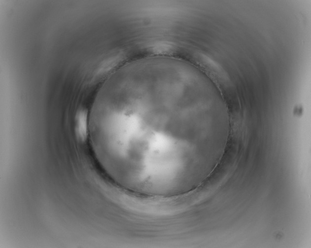 X0000092090028200709121521