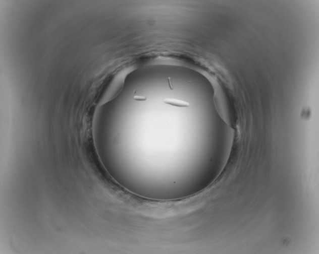 X0000092090029200709121521