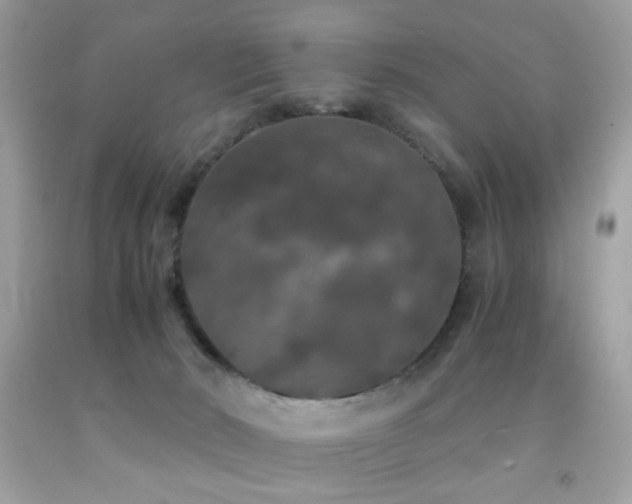 X0000092090030200709121521