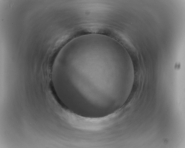 X0000092090031200709121521