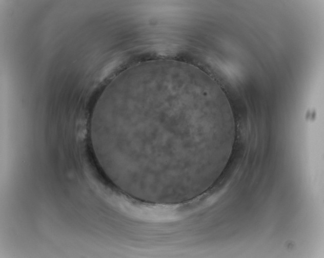 X0000092090032200709121521