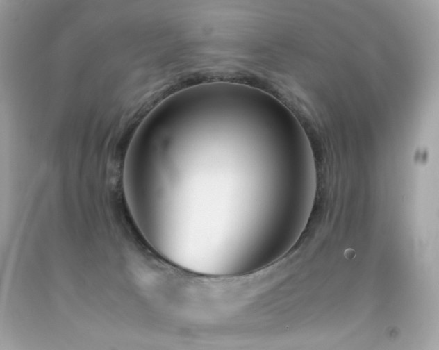 X0000092090033200709121521