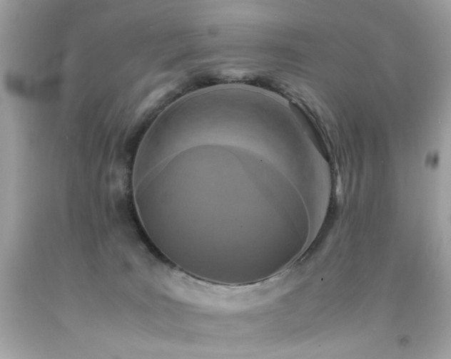 X0000092090035200709121521
