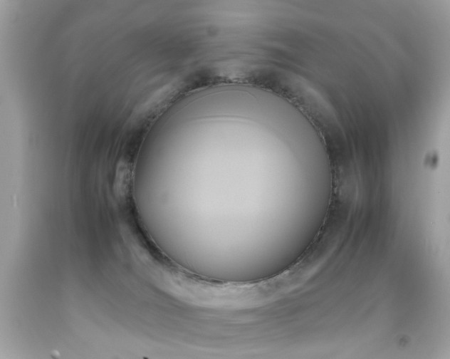 X0000092090036200709121521