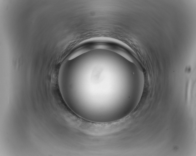 X0000092090037200709121521