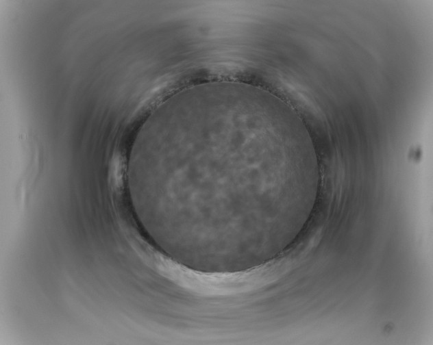 X0000092090038200709121521