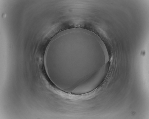 X0000092090039200709121521