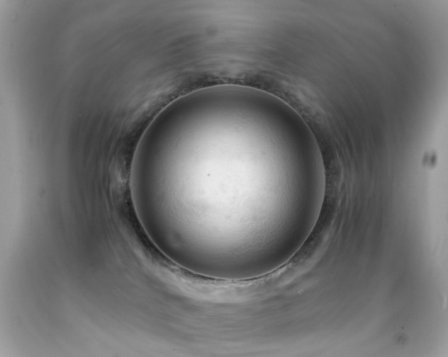 X0000092090040200709121521
