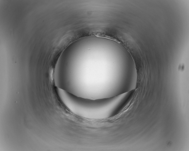 X0000092090041200709121521