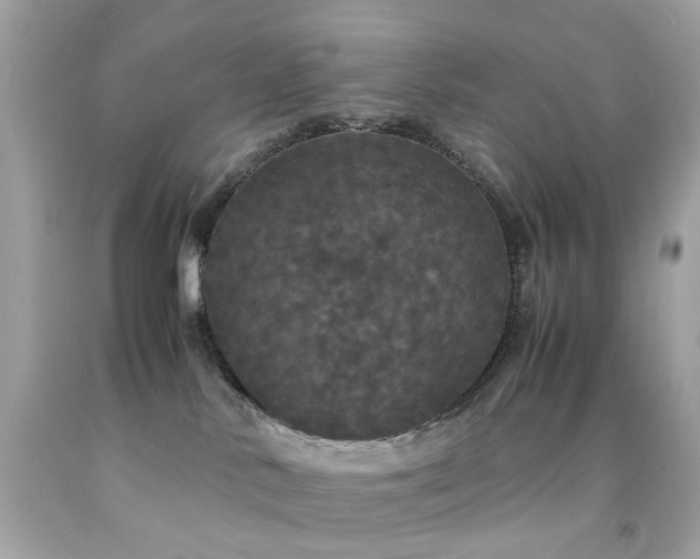 X0000092090042200709121521