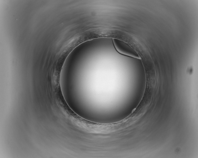 X0000092090044200709121521
