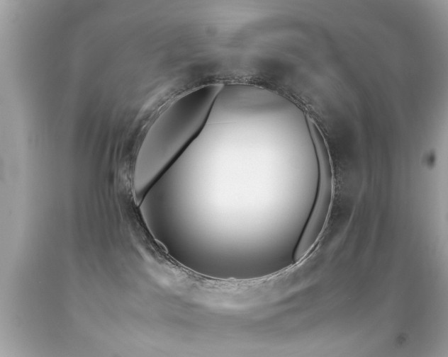 X0000092090045200709121521