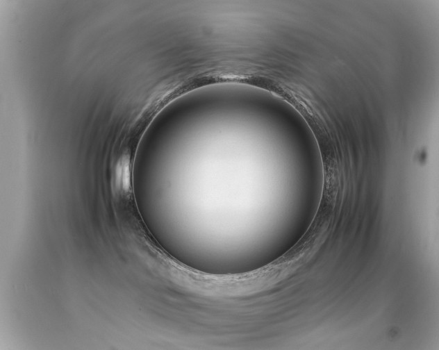 X0000092090046200709121521