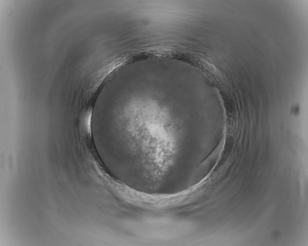X0000092090047200709121521
