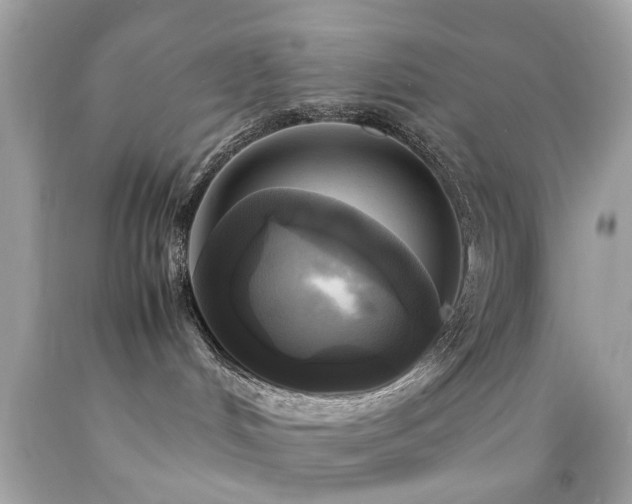 X0000092090048200709121521