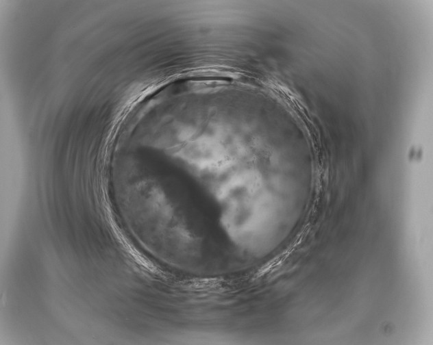 X0000092090049200709121520