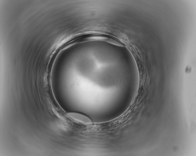 X0000092090050200709121520