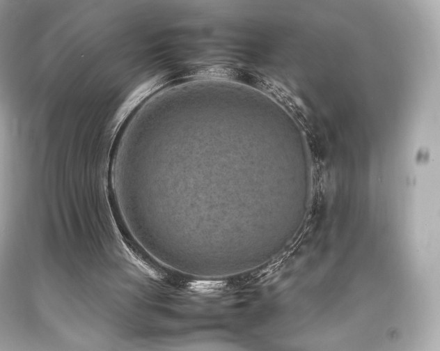 X0000092090051200709121520