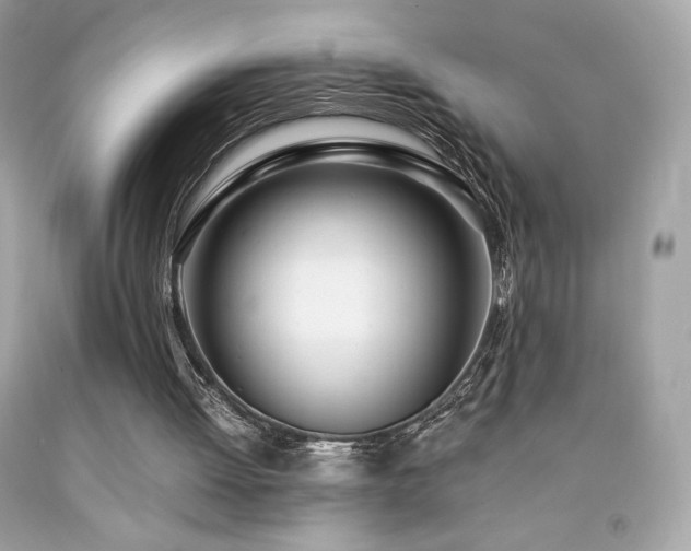 X0000092090052200709121520