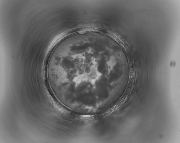X0000092090053200709121520