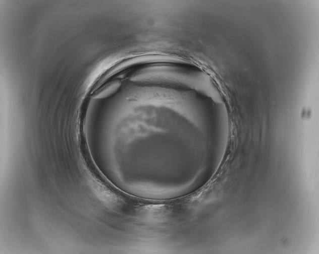 X0000092090054200709121520