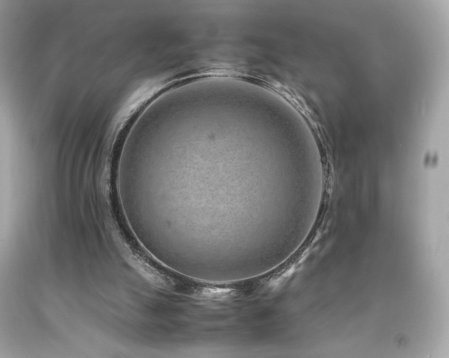 X0000092090055200709121521