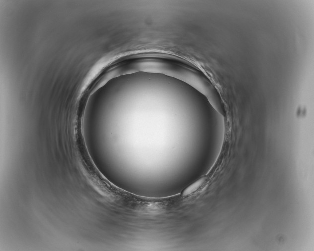 X0000092090056200709121521