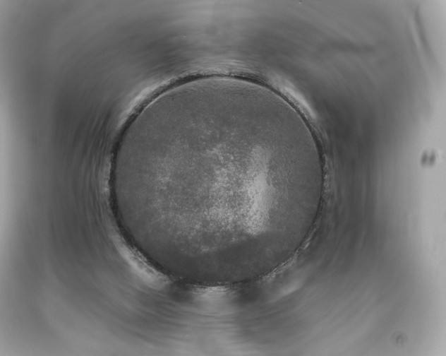 X0000092090058200709121521