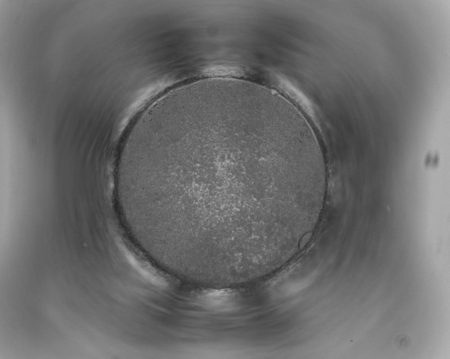 X0000092090059200709121521