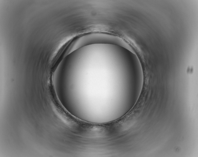 X0000092090060200709121521