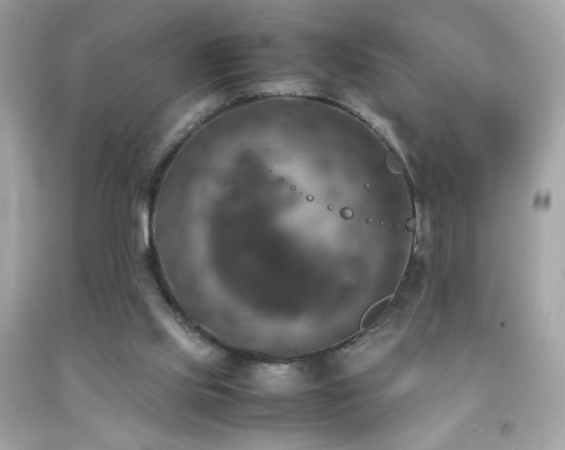 X0000092090061200709121521